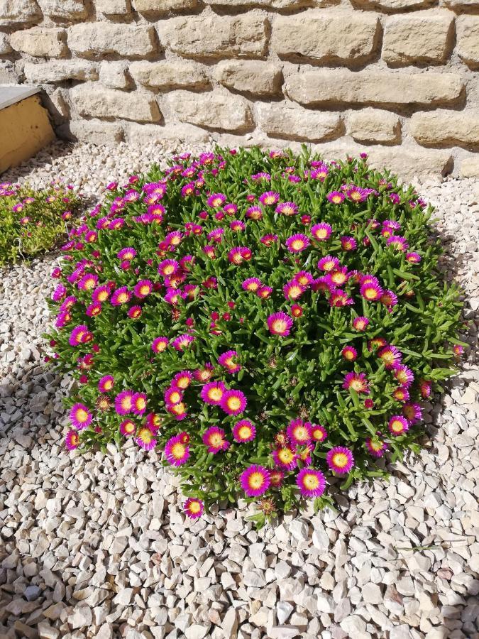 Molleges Maison Provencale Spa Sauna Piscine מראה חיצוני תמונה